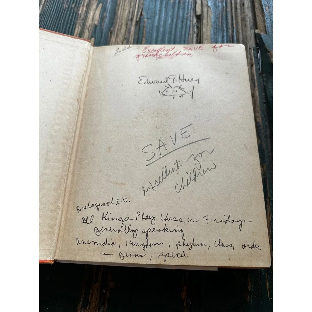 A‎ Child's Story of the Animal World 1936 Edward G Huey Vintage Hardcover Book